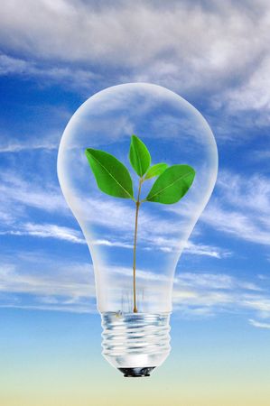 Green leaf power light bulb.
