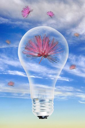 Flower power light bulb.
