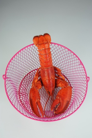 Lobster in a basket.の写真素材