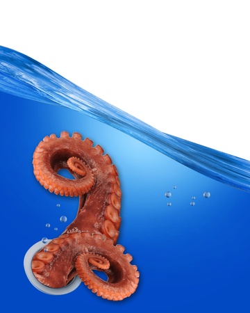 Octopus under the Water の写真素材