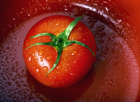 Fresh Tomato の写真素材