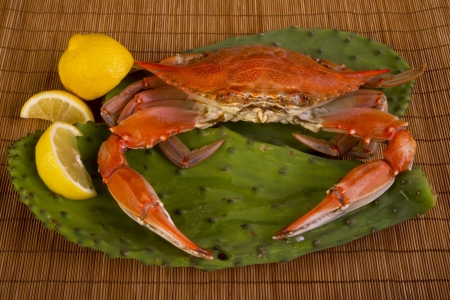 Cooked crab on cactus leaf の写真素材
