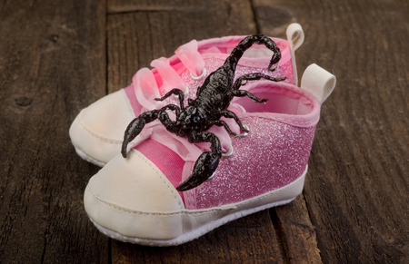 Check your shoes for a scorpion.の写真素材