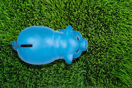 Top view of blue piggy bank.の写真素材