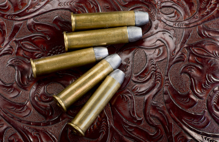45-60 riffle brass bullets with room for your type.