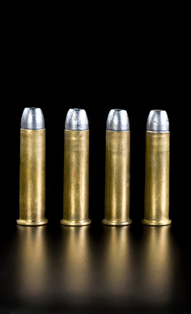 Brass and lead bullets with room for your type.