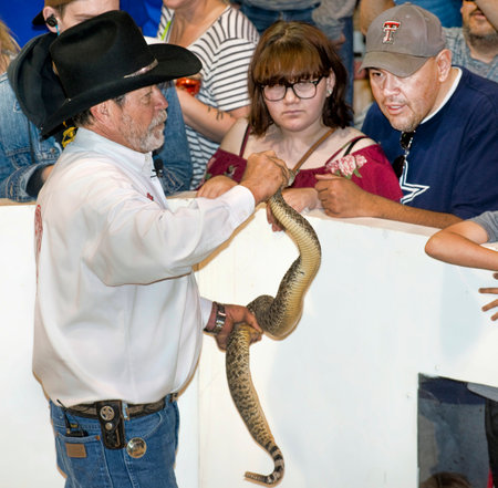 Sweetwater,Texas - March 10,2018  60th Annual Sweetwater, Texas rattlesnake roundup largest in the world.のeditorial素材