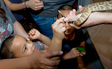 Sweetwater,Texas - March 10,2018  60th Annual Sweetwater, Texas rattlesnake roundup largest in the world.のeditorial素材