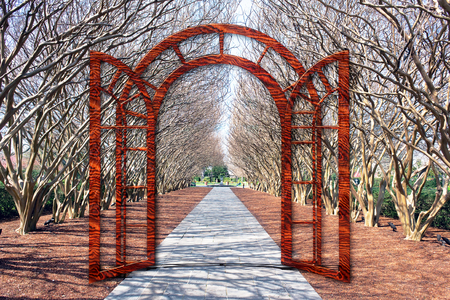 Gateway through crape mytle trees ,will make great background.の写真素材
