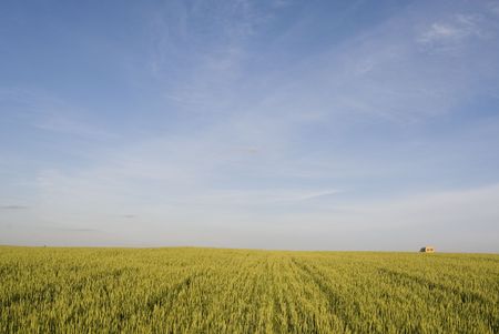 Yellow car goes through countryside landscapeの写真素材