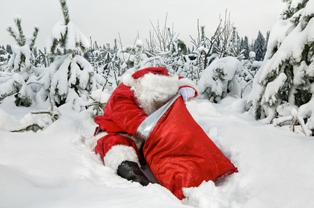 Santa Claus sitting looking for presents in his sack in the forestの写真素材