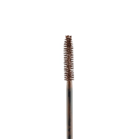 Brown mascara brush isolatedの写真素材