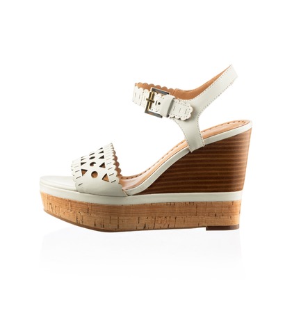 Modern fashionable women shoe shot in studioの写真素材