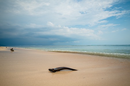 Beautiful sea and coastlines of Gili Trawangan, Indonesia.の写真素材