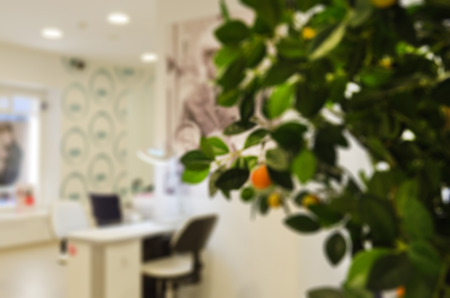 Modern beauty salon blur background with bokehの写真素材