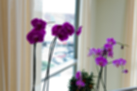 Restaurant abstract blur background with bokeh imageの写真素材