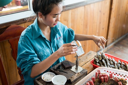 HALONG, VIETNAM - May 9, 2014 -Surgical implantation of an irritant in an oyster shell to produce pearls on a cultured pearl farmのeditorial素材