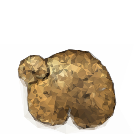 Abstract geometric shape from triangular faces on white background, for graphic designのイラスト素材