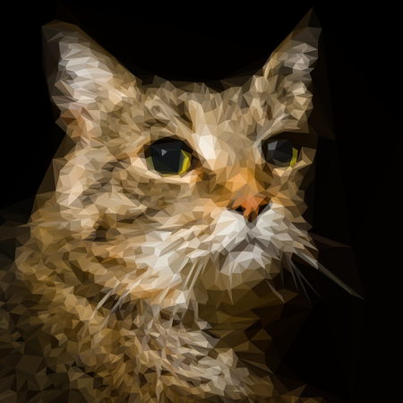 Low poly Portrait of a cool Cat over black backgroundのイラスト素材