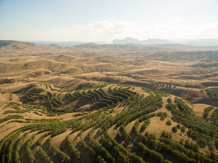 Late summer aerial landscape in Crimea mountains near Black Seaの写真素材