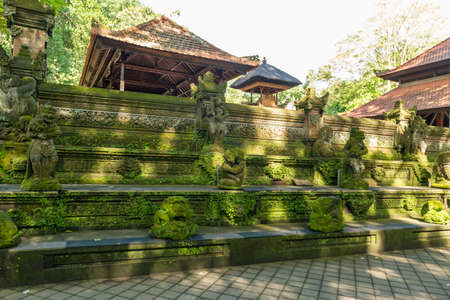 View of sacred Monkey Forest in Ubud