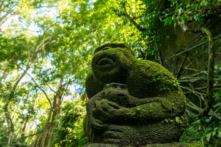 View of sacred Monkey Forest in Ubud