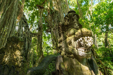 View of sacred Monkey Forest in Ubud