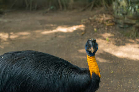 Bali bird park in Sanur
