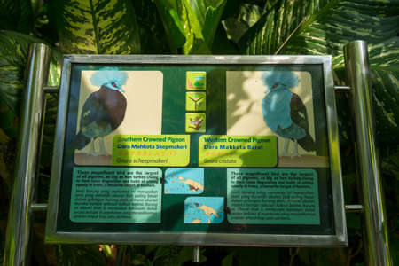 Bali bird park