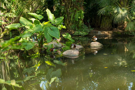 Bali bird park in Sanur