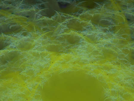 Imaginatory fractal background Image