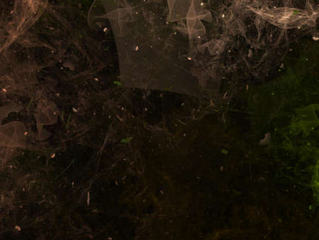 Imaginatory fractal background Image