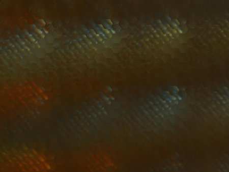 Illustration abstract background.の写真素材