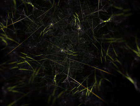 Imaginatory fractal background Imageの写真素材