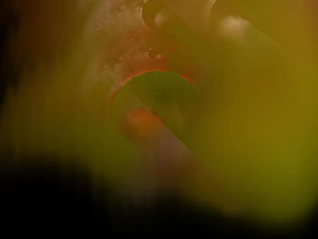 Imaginatory fractal background Imageの写真素材