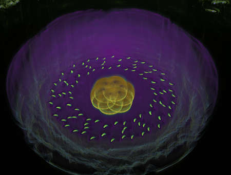Imaginatory fractal background generated Image