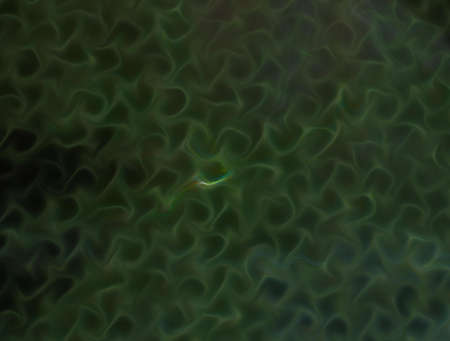 Imaginatory fractal abstract background Image