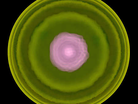 Imaginatory fractal abstract background Image