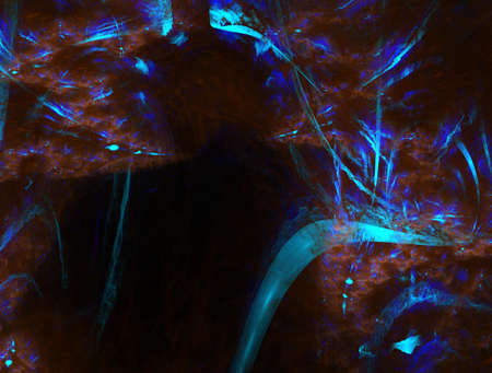 Imaginatory fractal abstract background Imageの写真素材