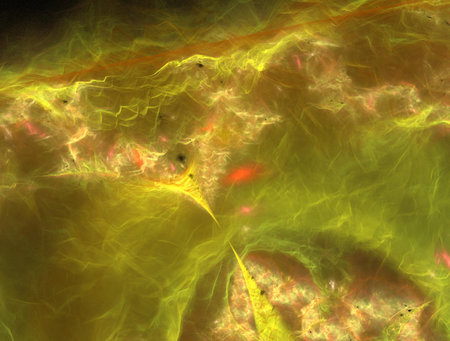 Imaginatory fractal abstract background Imageの写真素材