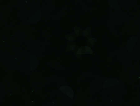 Imaginatory fractal abstract background Imageの写真素材