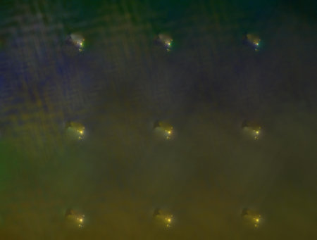 Imaginatory fractal abstract background Imageの写真素材