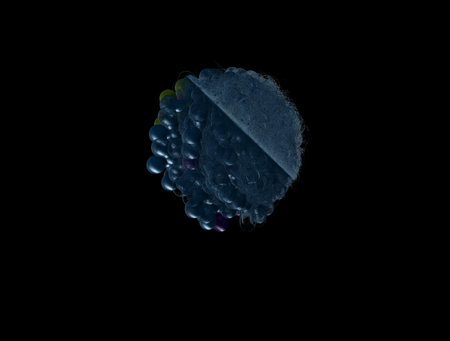 Imaginatory fractal abstract background Imageの写真素材