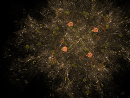 Imaginatory fractal abstract background Imageの写真素材