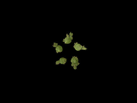 Imaginatory fractal abstract background Imageの写真素材