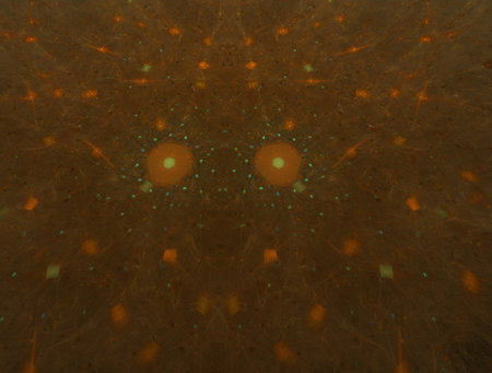 Imaginatory fractal abstract background Image