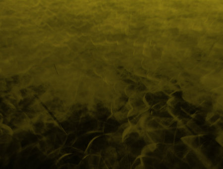 Imaginatory fractal abstract background Imageの写真素材