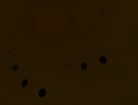 Imaginatory fractal abstract background Image