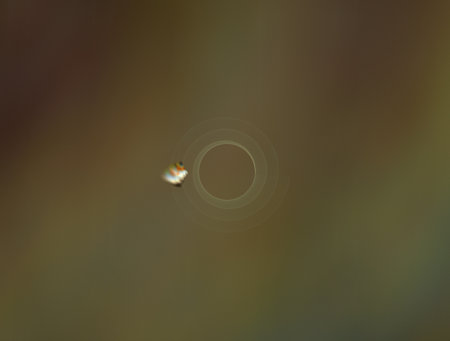 Imaginatory fractal abstract background Imageの写真素材