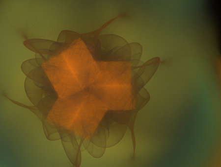 Imaginatory fractal abstract background Image